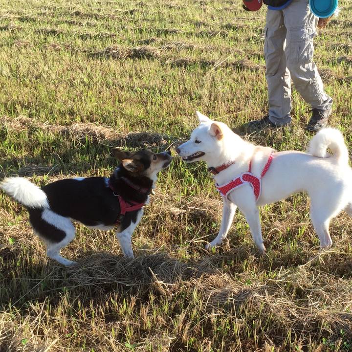 Fe07e1ca a79c 4620 984d 52da96828faa