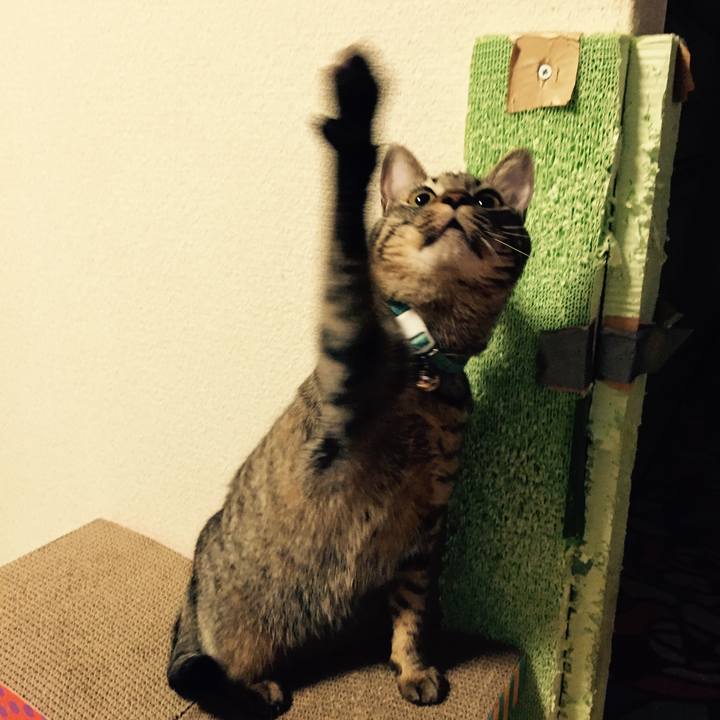 Fe088047 0264 4a50 9eb2 b0968042c89c