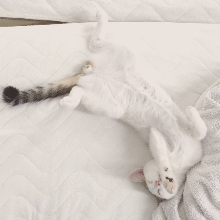 Fe088369 1eca 4749 a412 b20e147b14c2