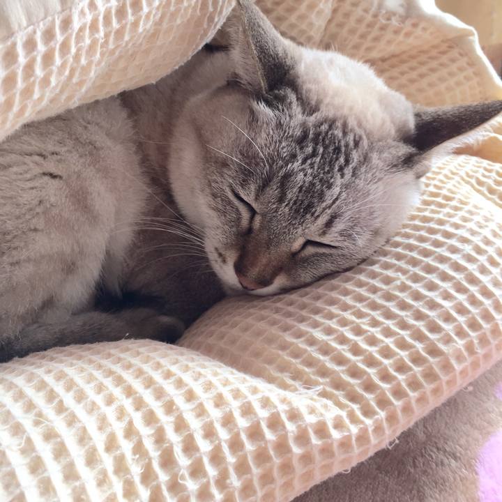 Fe088468 5ce1 4ca6 a452 6eceff8aa47b