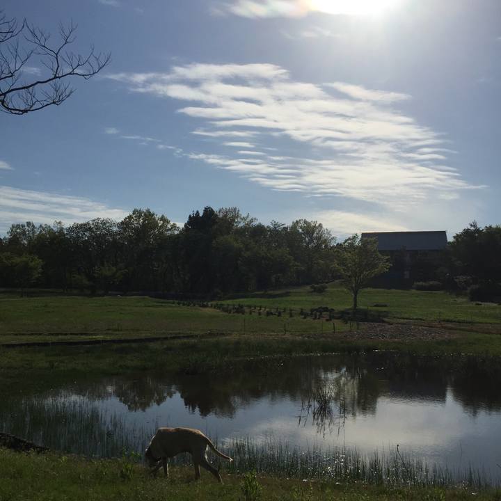 Fe08fd4c 3ae0 4aa5 8a77 a3ed8e237175