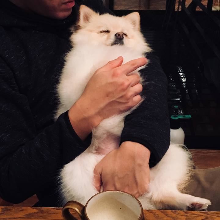 Fe0a8e62 5c30 4e5a 995d 8929a0ccef1e