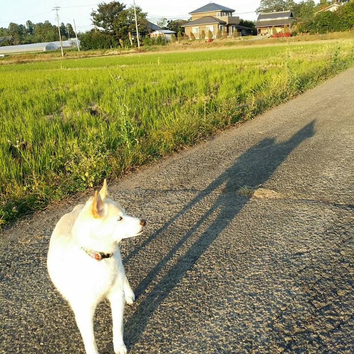 Fe0adbb9 95c2 4e20 9b93 287e553f8588