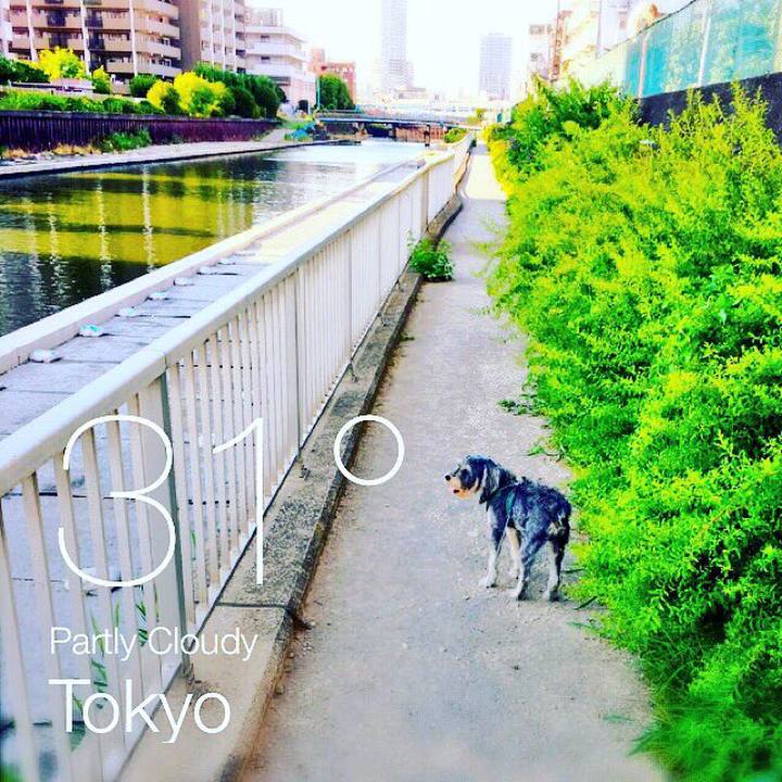 Fe0af83f b39f 4e1a 9af8 7b8348a8df63