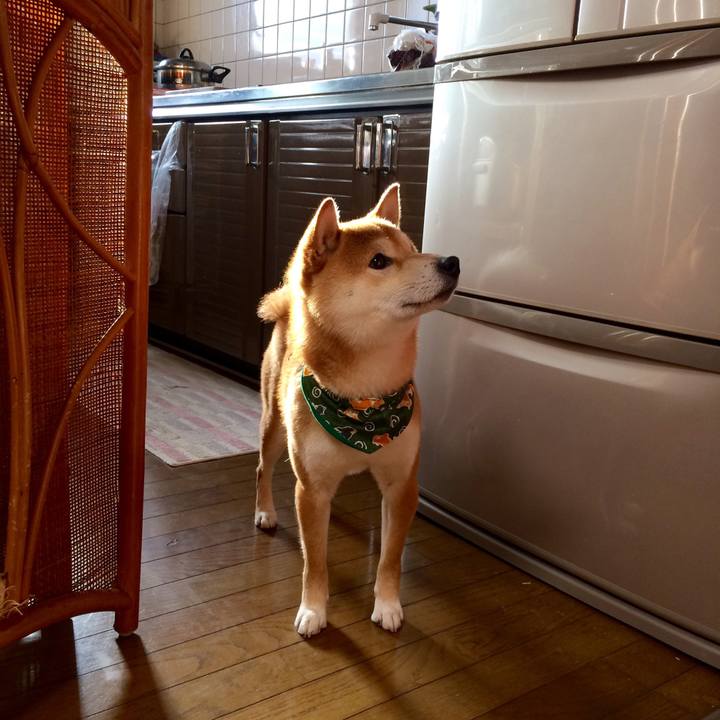 Fe0b7d62 241a 42f1 8a40 d1450f596795