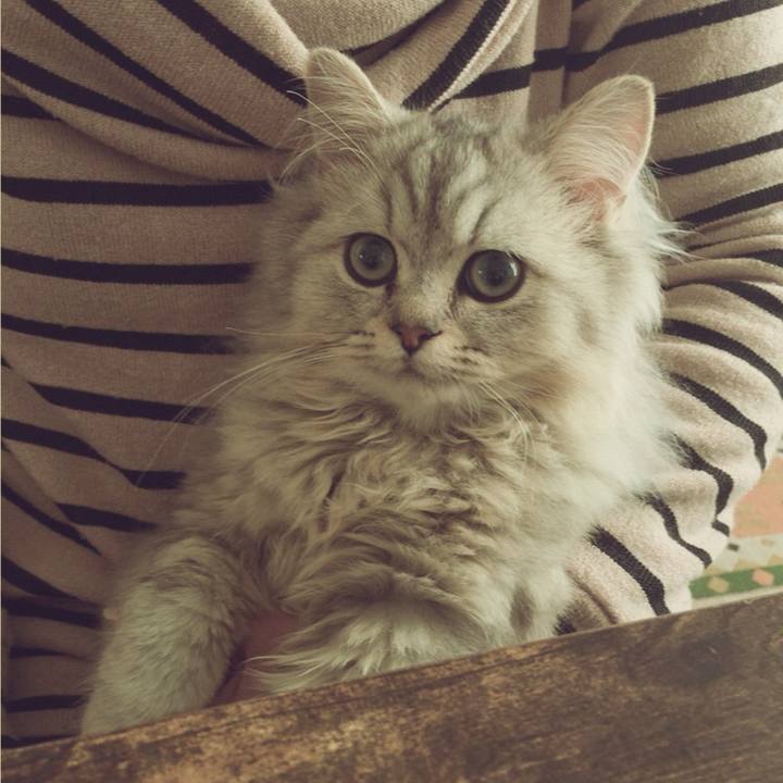 Fe0bbc62 354e 484c babf 5a1fbe694605