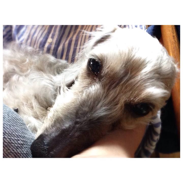 Fe0bc818 63c8 479a 9621 e9da90b8bc6c