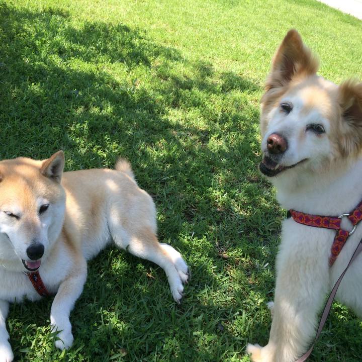 Fe0c3dec 0523 439c aec9 b922ac8fa0e2