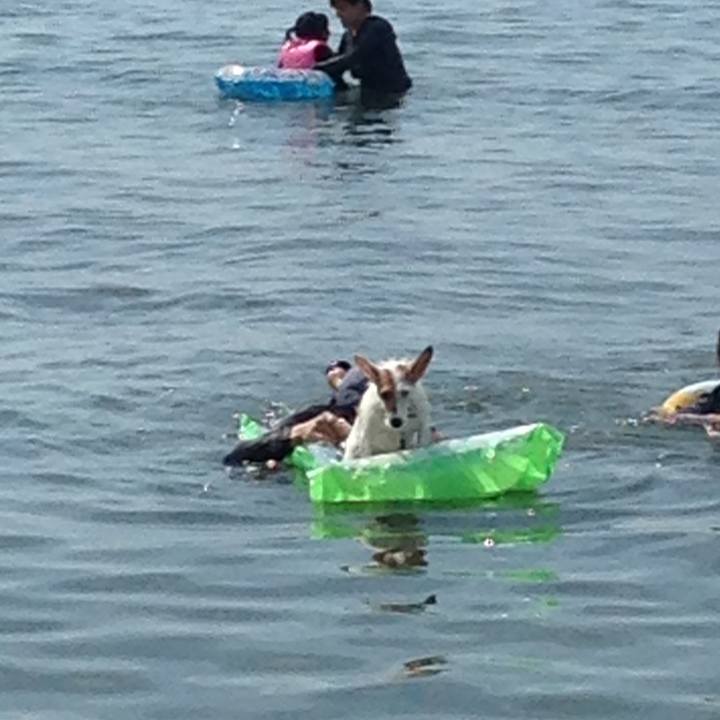 Fe0c9063 15a7 4ee5 9bd5 415ea57d3a70