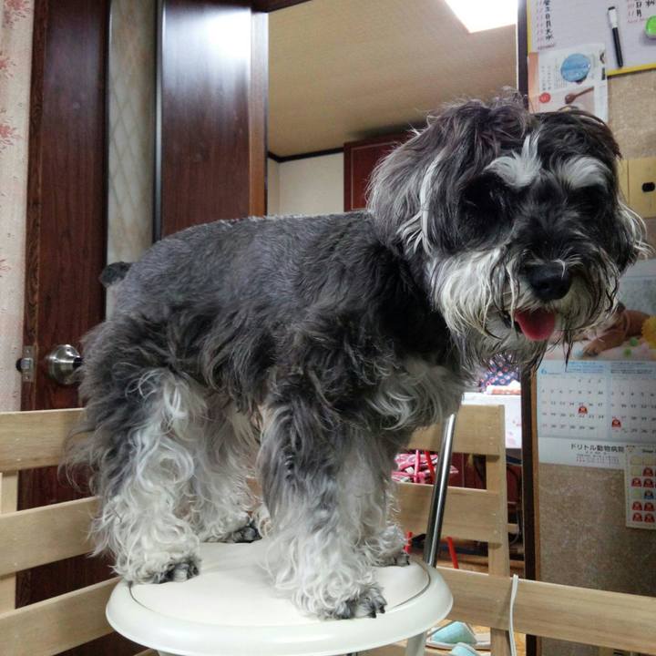 Fe0ccedd 4a84 4648 923f f93e5917d44e