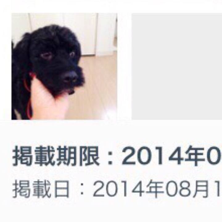 Fe0d1ec0 6206 46b8 a922 2ba5c0483550