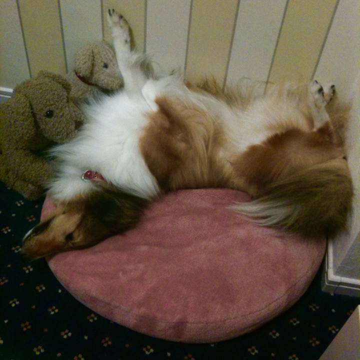 Fe0d3736 161b 431a 944e c82875894e43