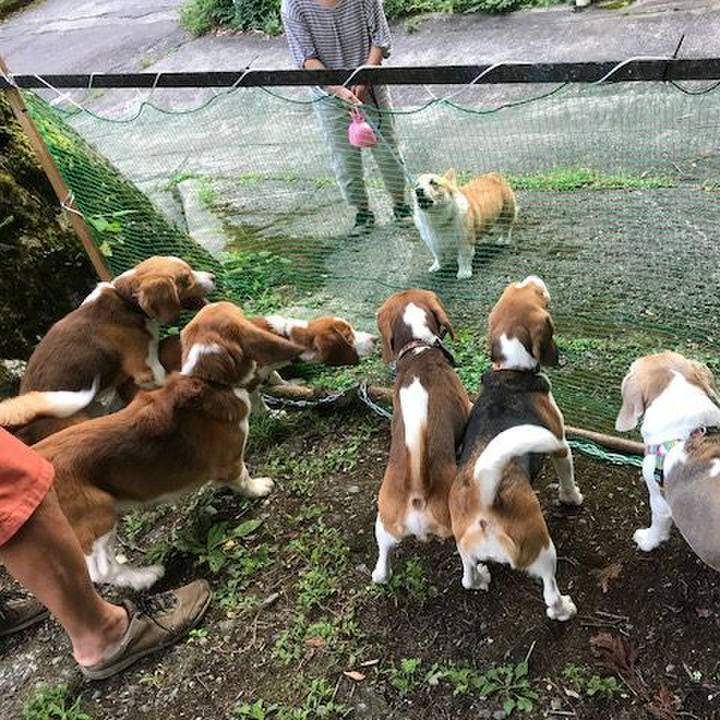 Fe0d8ad1 57d1 44d1 894c 9a3e50726ab4