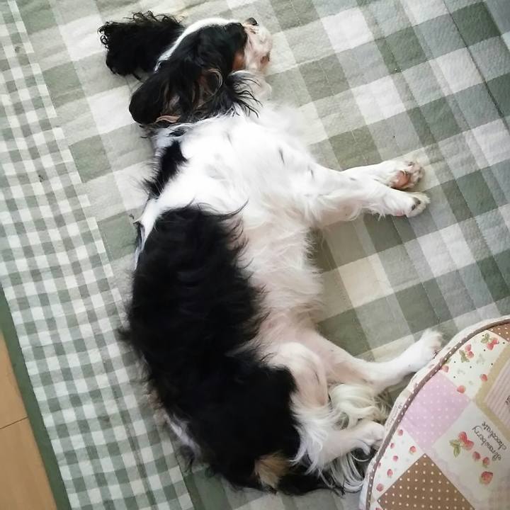 Fe0d9934 e5ca 4cd1 bf67 fa824222864e