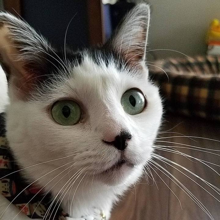 Fe0dccde 596a 48f8 b1e3 e6e0a57955b0