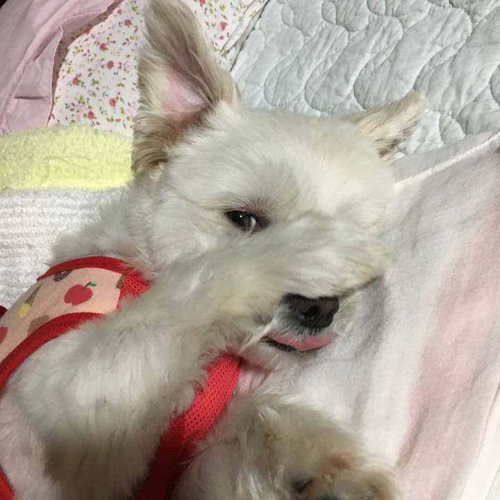 Fe0e7053 36a2 4cfe a282 38c75f4b3777