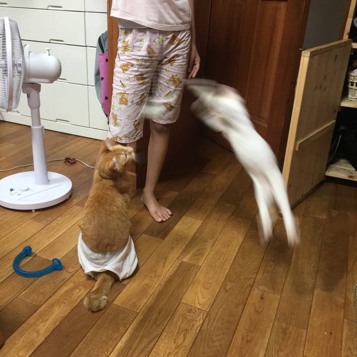 Fe0e7d6b 28d9 4b7e 815a 2aecac41ba3a