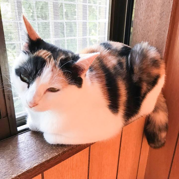 Fe0f0e2a fdd1 4fe6 89b7 74ea3367a4c2