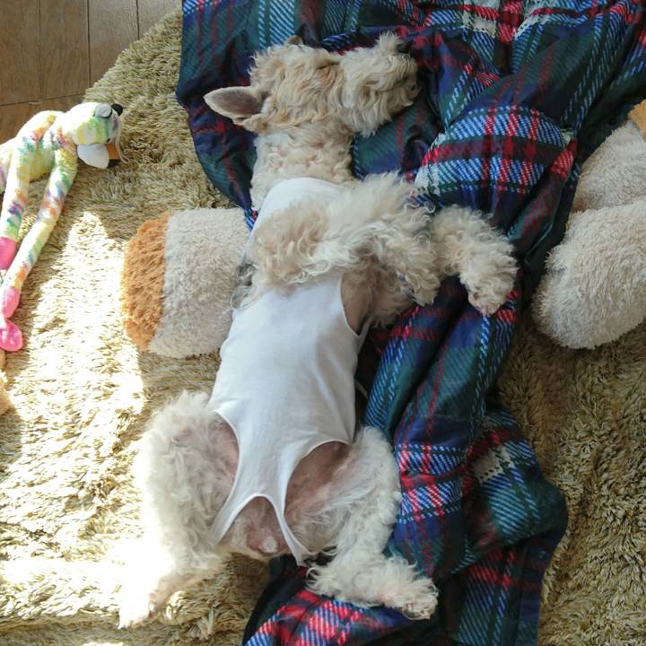 Fe0f35ff ba13 4332 a5bf 9a4563aae7d6