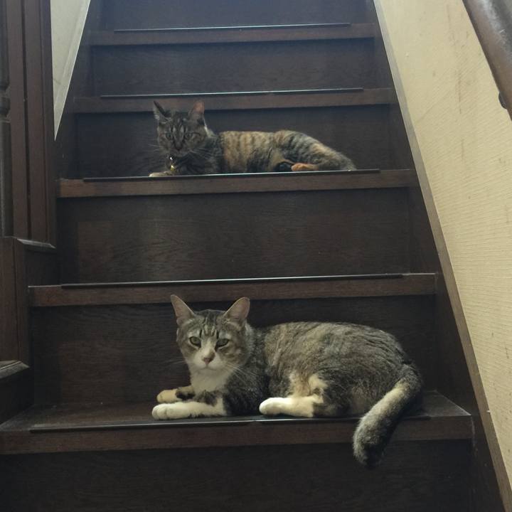 Fe0fe332 6323 466f 87cb ab0691ee80fb