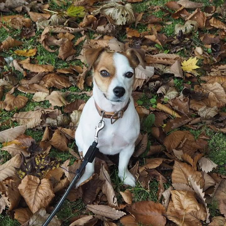 Fe104b79 f732 4292 bf08 b6c547d4adcd