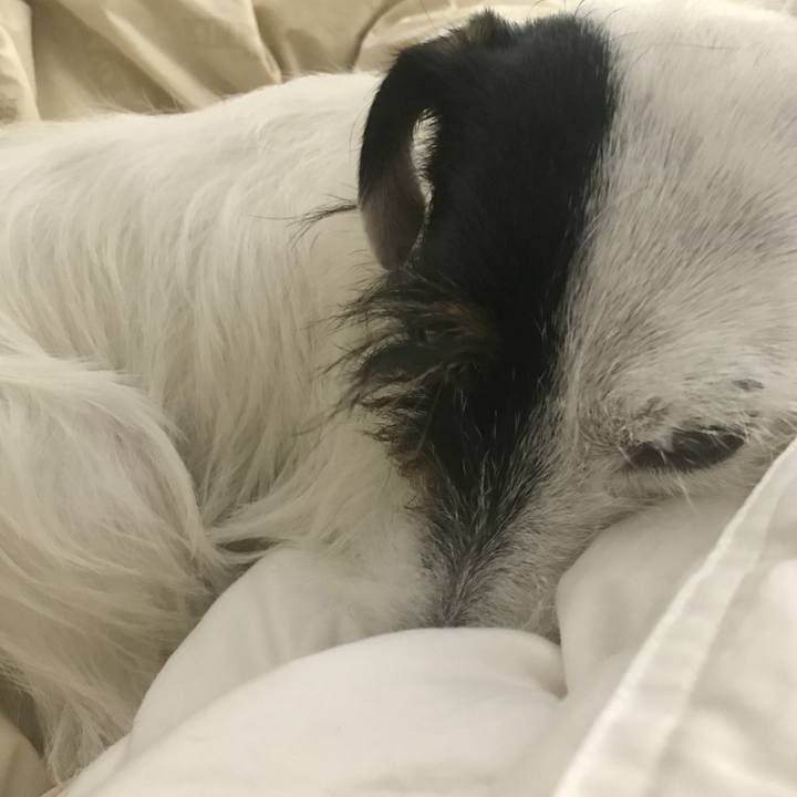 Fe10715d 77cd 4383 ac02 1695576e0c93