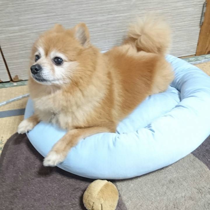 Fe10e3c2 a6f1 4f0c 9bbc dad3c86dd60b