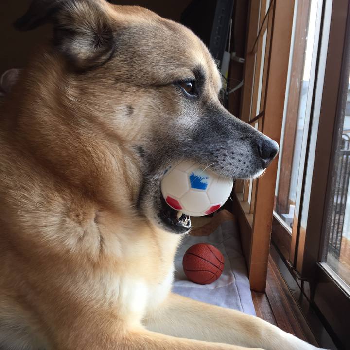 Fe113175 9439 4832 bfd6 5c22777afb64