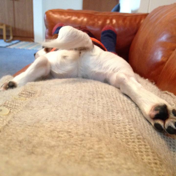 Fe115572 3955 4714 a437 995f819a86d0