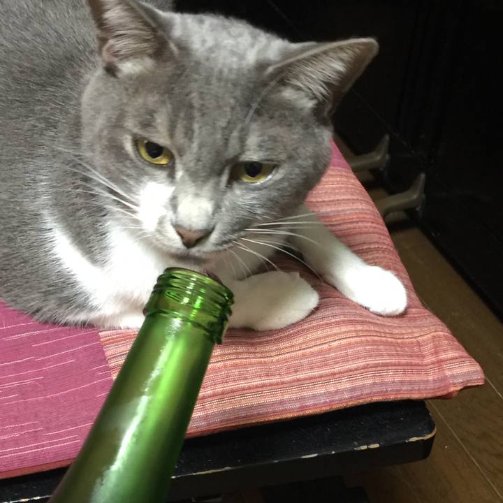 Fe11ad9b 6bb3 4f55 84f5 a629940bdf40