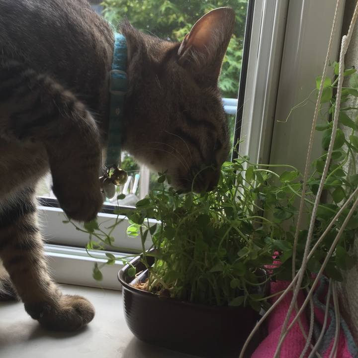 Fe11d095 5892 4e54 8763 976d1a6ab08c