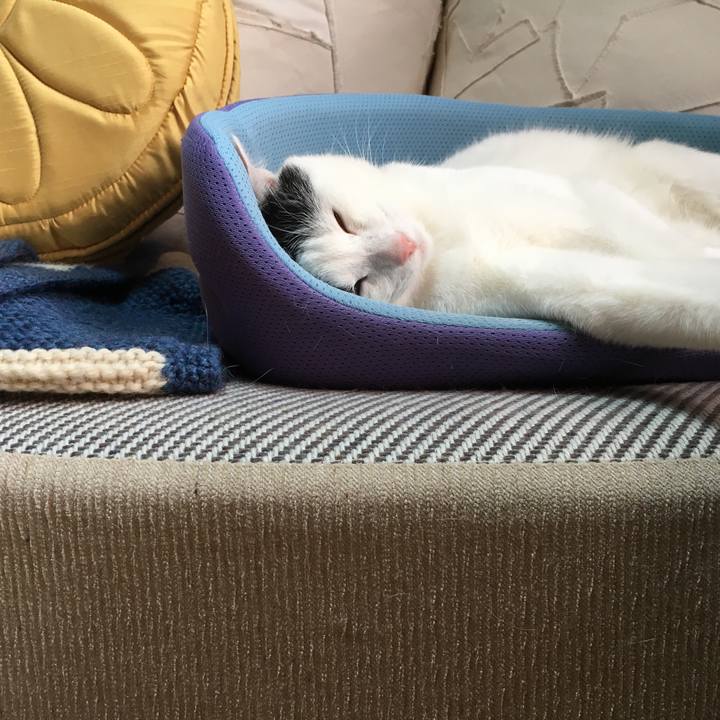 Fe125fc9 d90a 4cbc ad67 6628355ea1ba