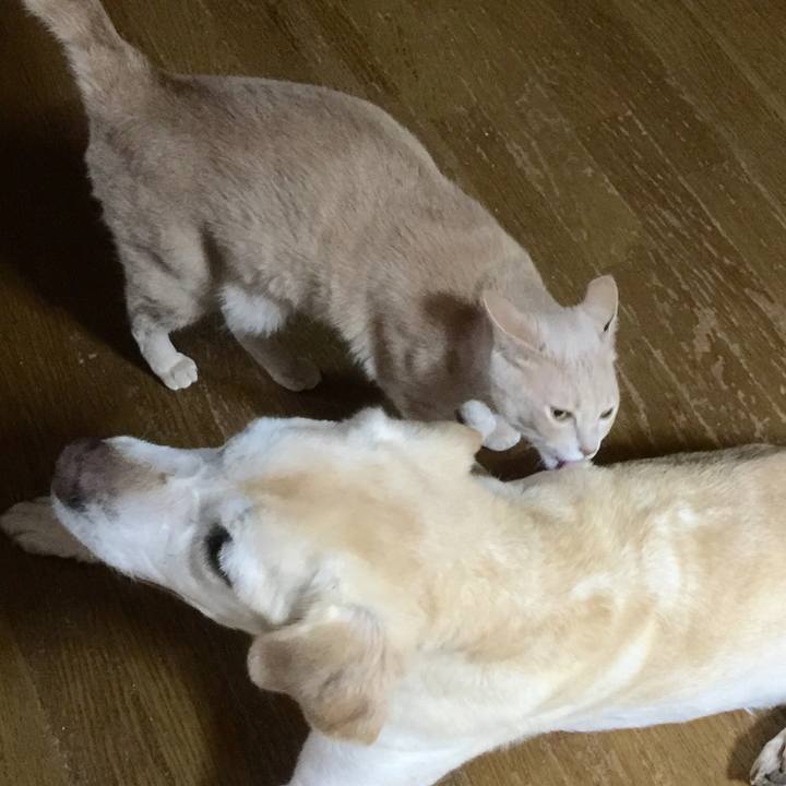 Fe12f870 dd58 4805 b460 0bddf869cbdf