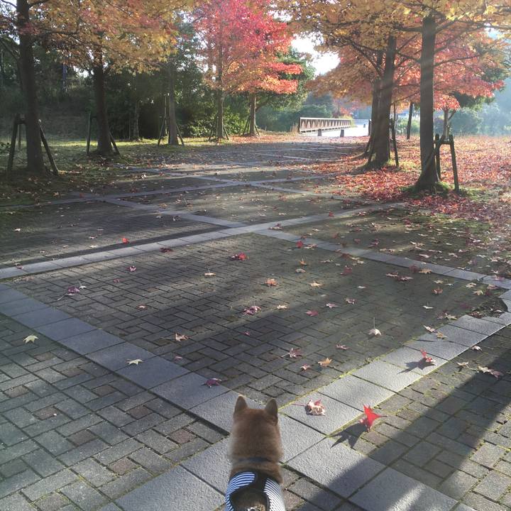 Fe12fd8c d65b 46ad af0d 1fca9e8fb9c7