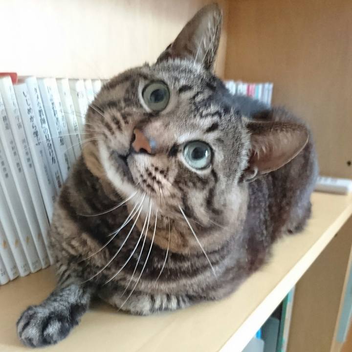 Fe134cf3 41e6 4041 a34b 265e3de70035