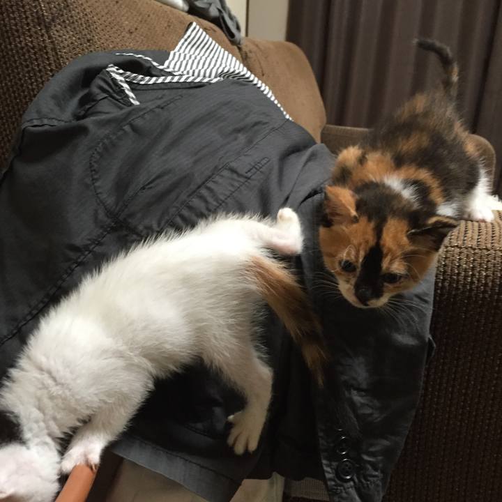 Fe138514 2d39 405d 9d76 2faf3a214a10