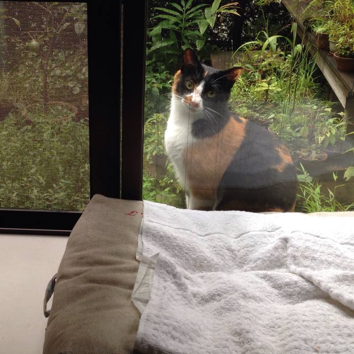 Fe13dacf f3ac 4a77 b624 15aedf3091e9