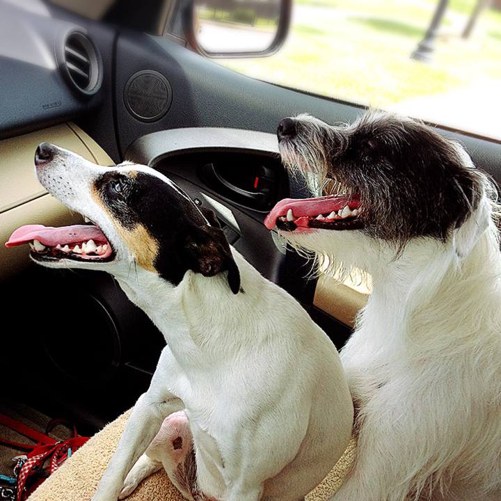 Fe152546 7004 4594 a508 e7c438c3e2ea