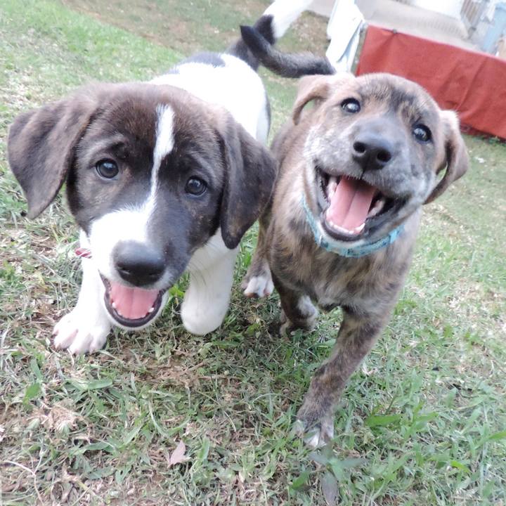 Fe15b9da 3b4d 44ee 88ed 080c14f9aa59