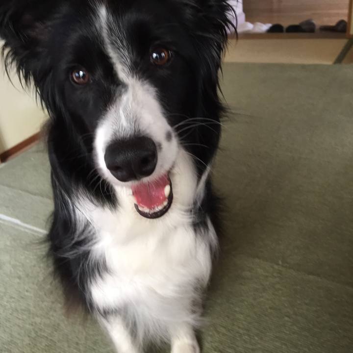 Fe163b9b e292 465d b88e 1e8403b9db4a