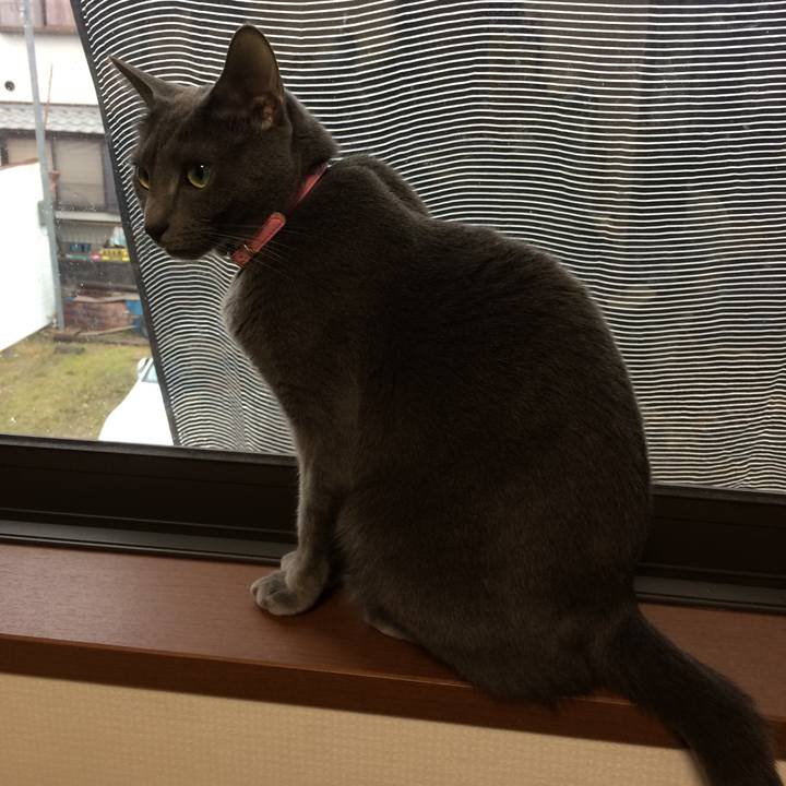 Fe16eaf3 804a 45c7 aa40 923b215aeef1