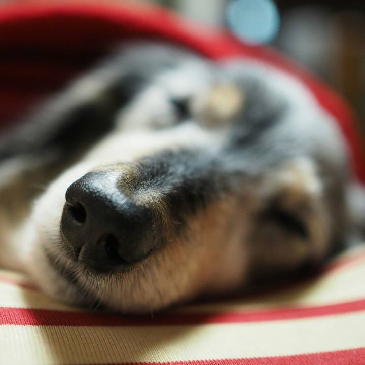 Fe176858 6a71 4f4d 8af3 aaa615f19127