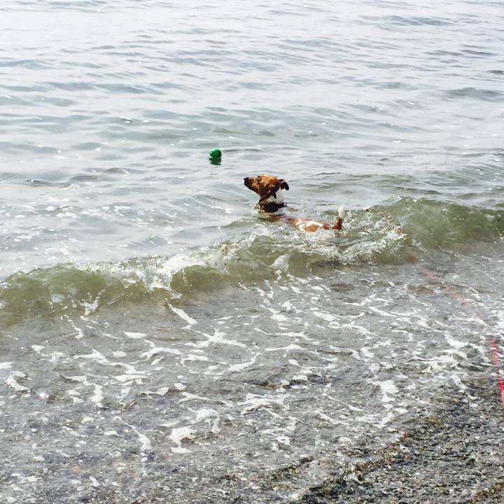 Fe17e1df c9bd 4c6a b51e 53a35be9009f