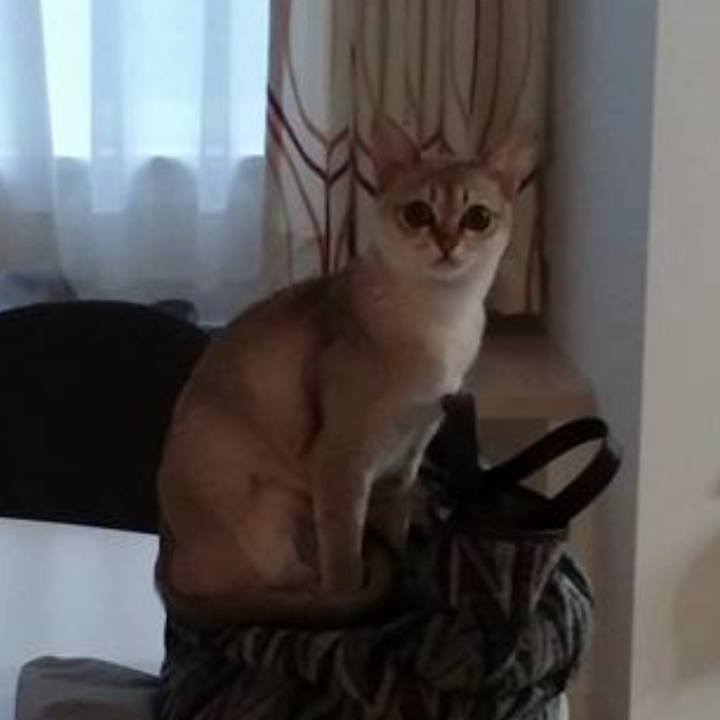 Fe17efe6 f43e 4f1c aa94 43c1cc0304ee