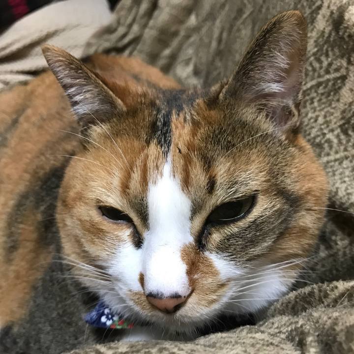 Fe180ff5 2242 49f6 b3f5 5b6c1ff02cb3