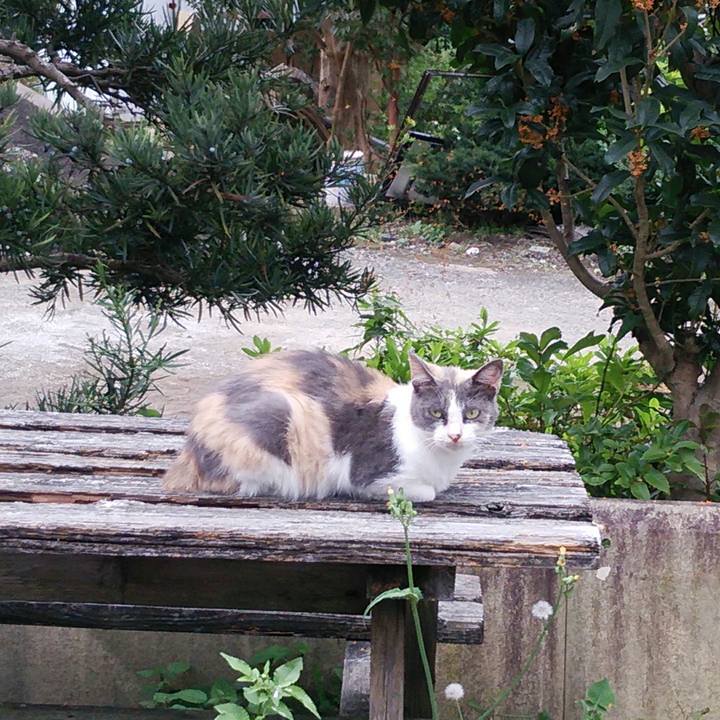 Fe183a20 3fb5 4bd1 8b27 a733cdd5c1f7