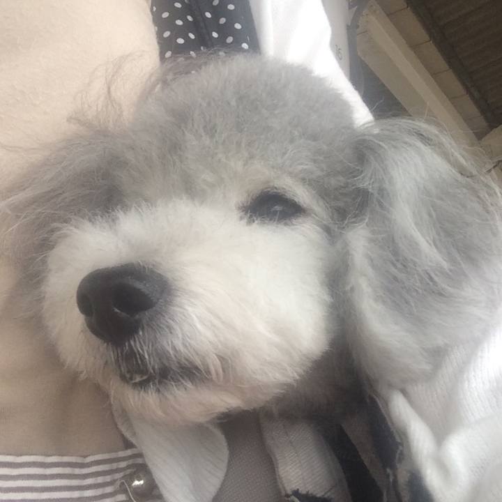 Fe18a954 5019 4c3d a9f7 0e771492c123