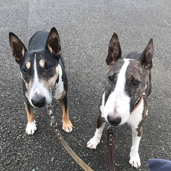 Fe1909e6 5373 4be0 ab8c 5415644adc59