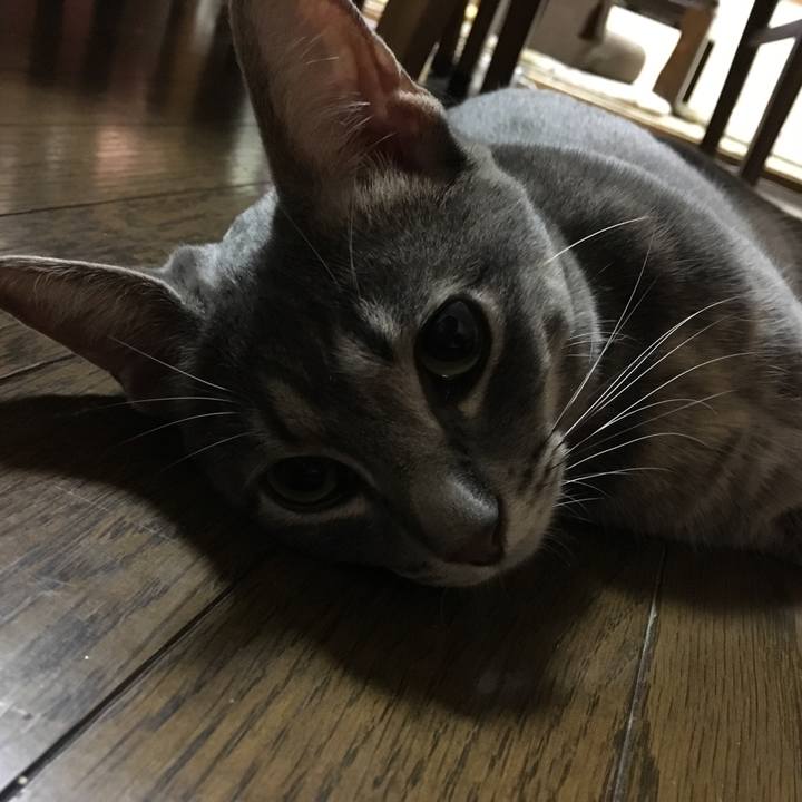 Fe194bc2 85f8 495e 8b84 b6baa3697925