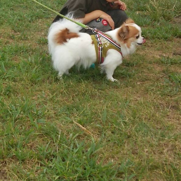 Fe1978a4 5723 46fd 8af7 8d7c69853118